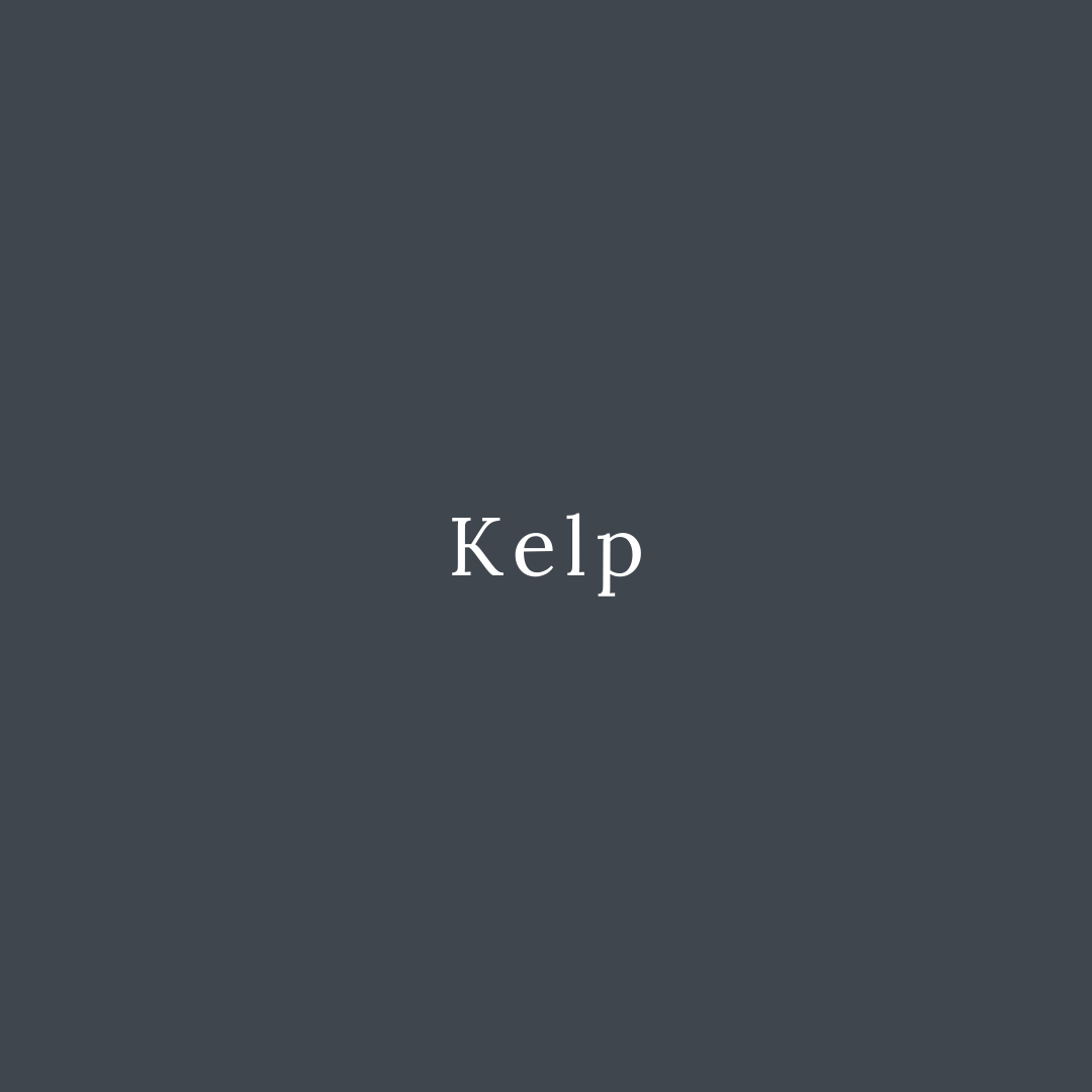Kelp