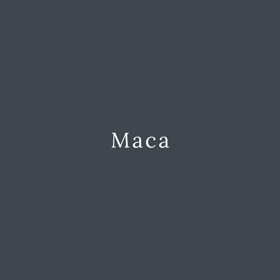 Maca | Ingredient Glossary | GP Nutrition