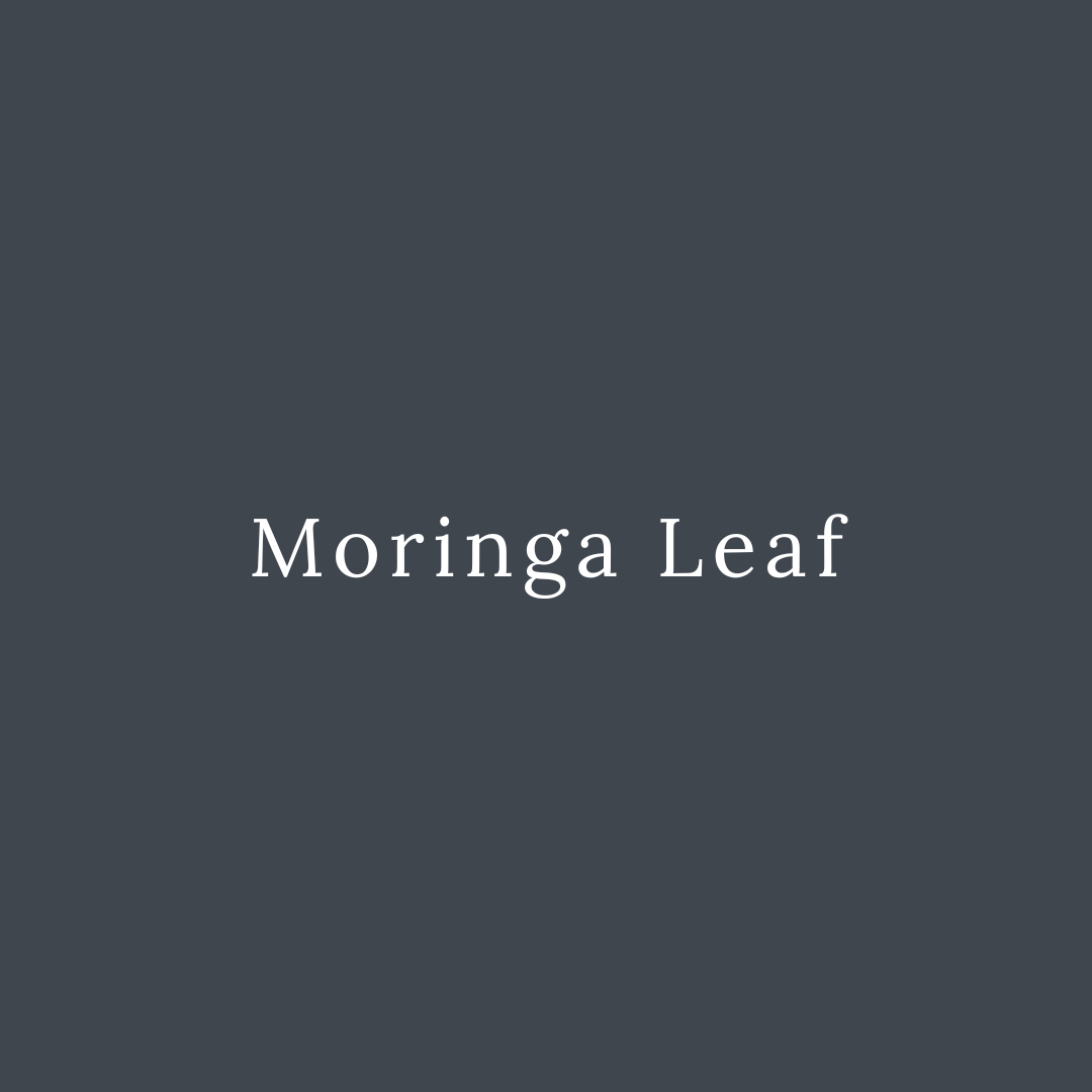 Moringa Leaf
