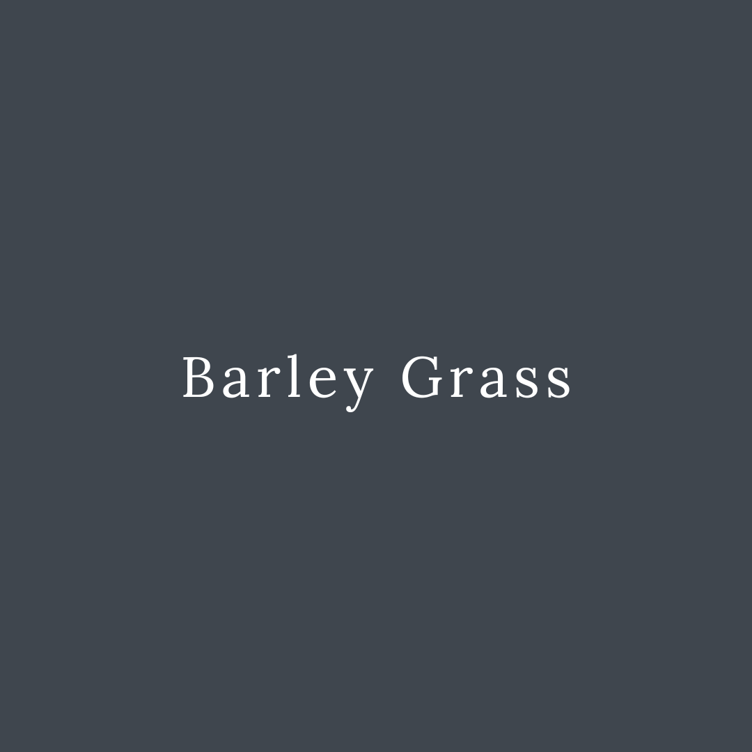 Barley Grass