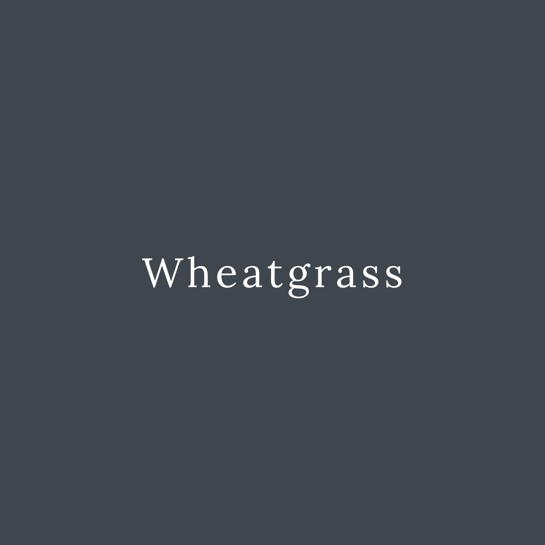 Wheatgrass