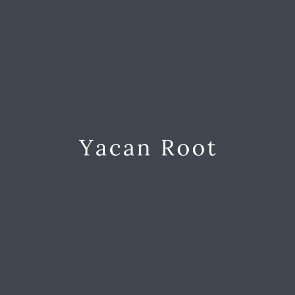 Yacon Root