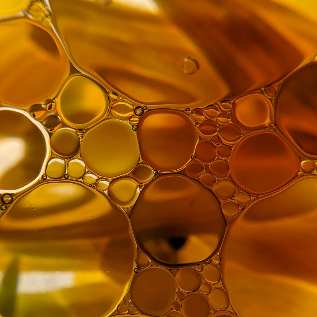 THE Omega 3 oil closeup